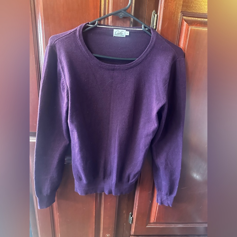 Cielo Women's Rich Purple Crew Neck Sweater